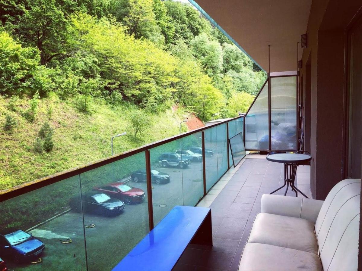 Tampa Gardens Apartment Brasov Luaran gambar