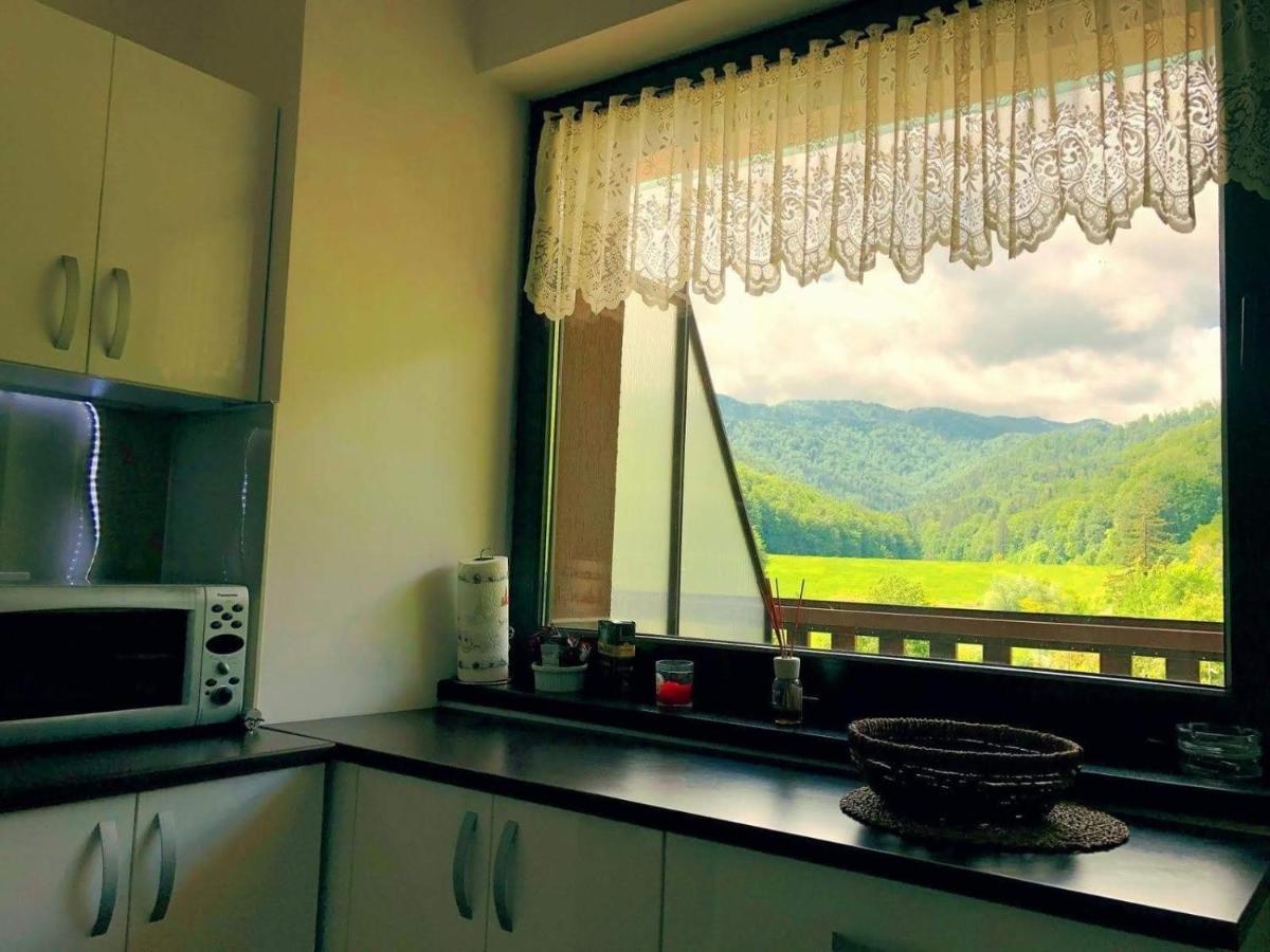 Tampa Gardens Apartment Brasov Luaran gambar