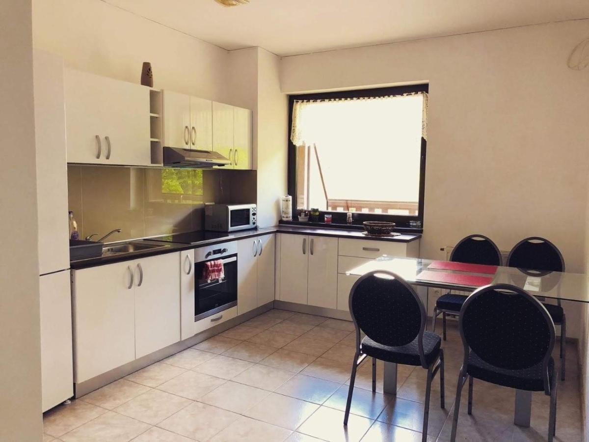 Tampa Gardens Apartment Brasov Luaran gambar