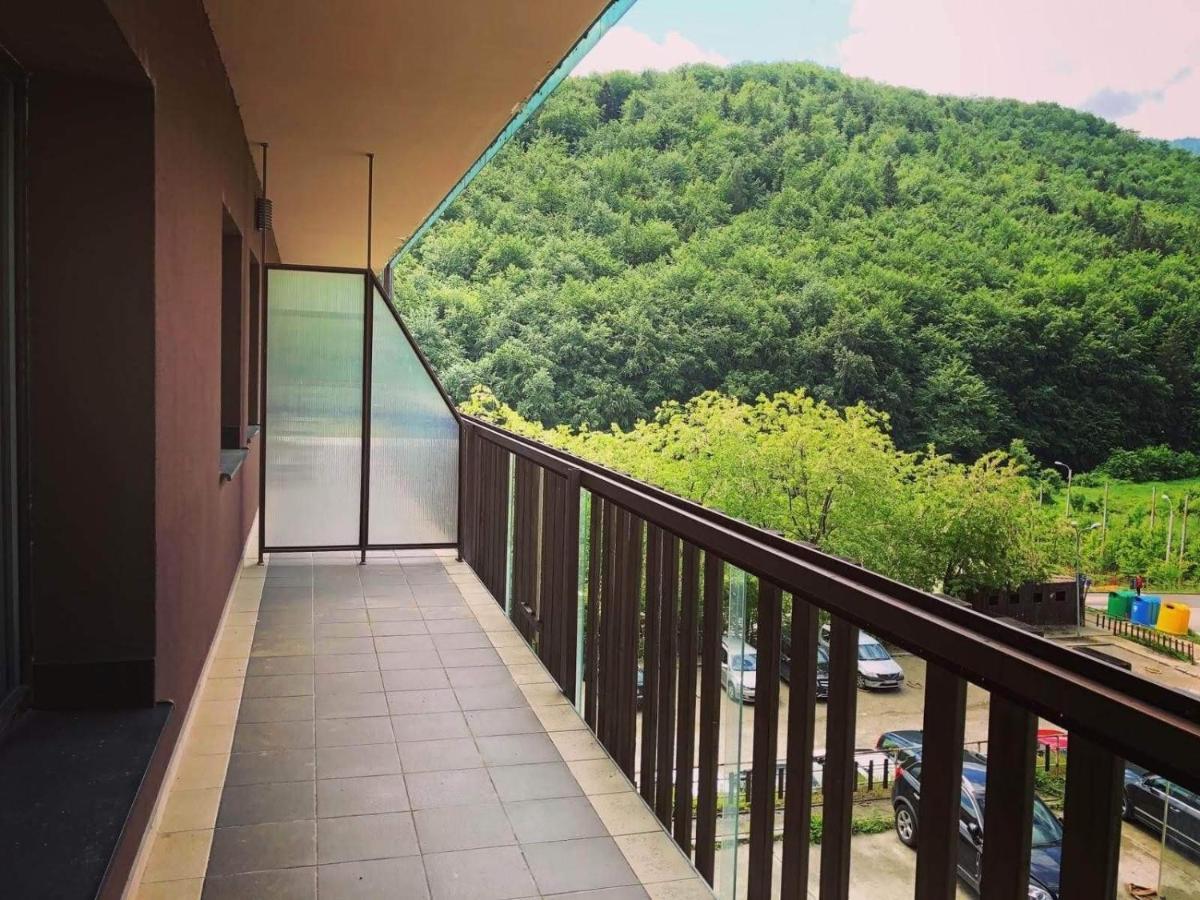 Tampa Gardens Apartment Brasov Luaran gambar