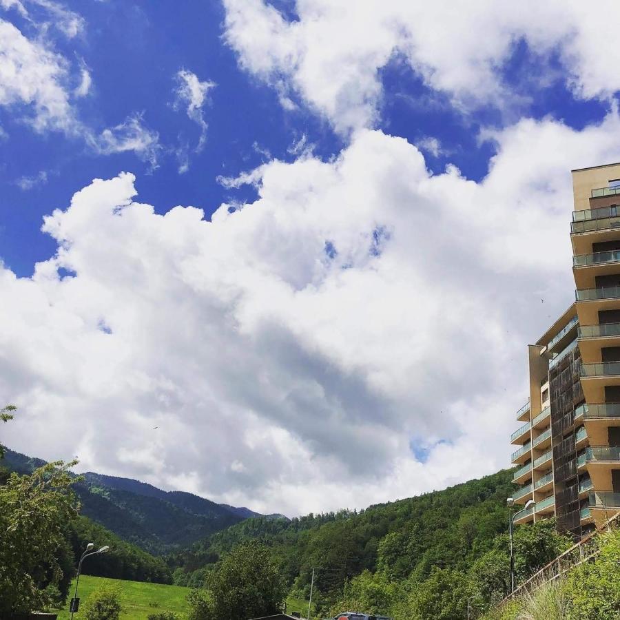 Tampa Gardens Apartment Brasov Luaran gambar