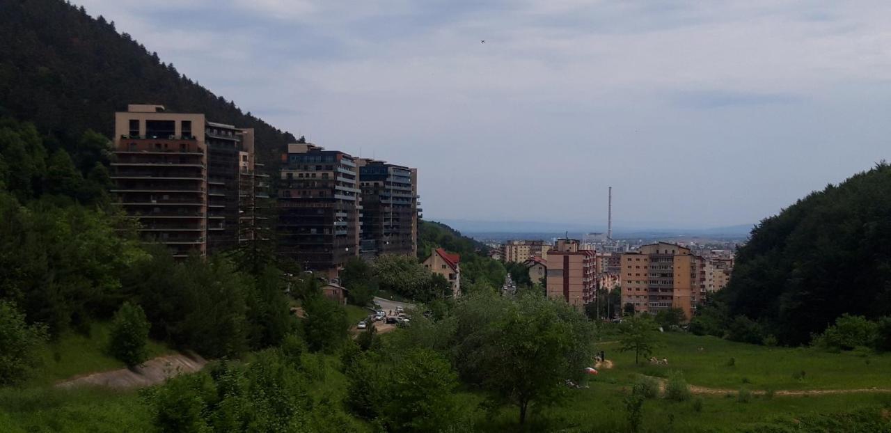 Tampa Gardens Apartment Brasov Luaran gambar